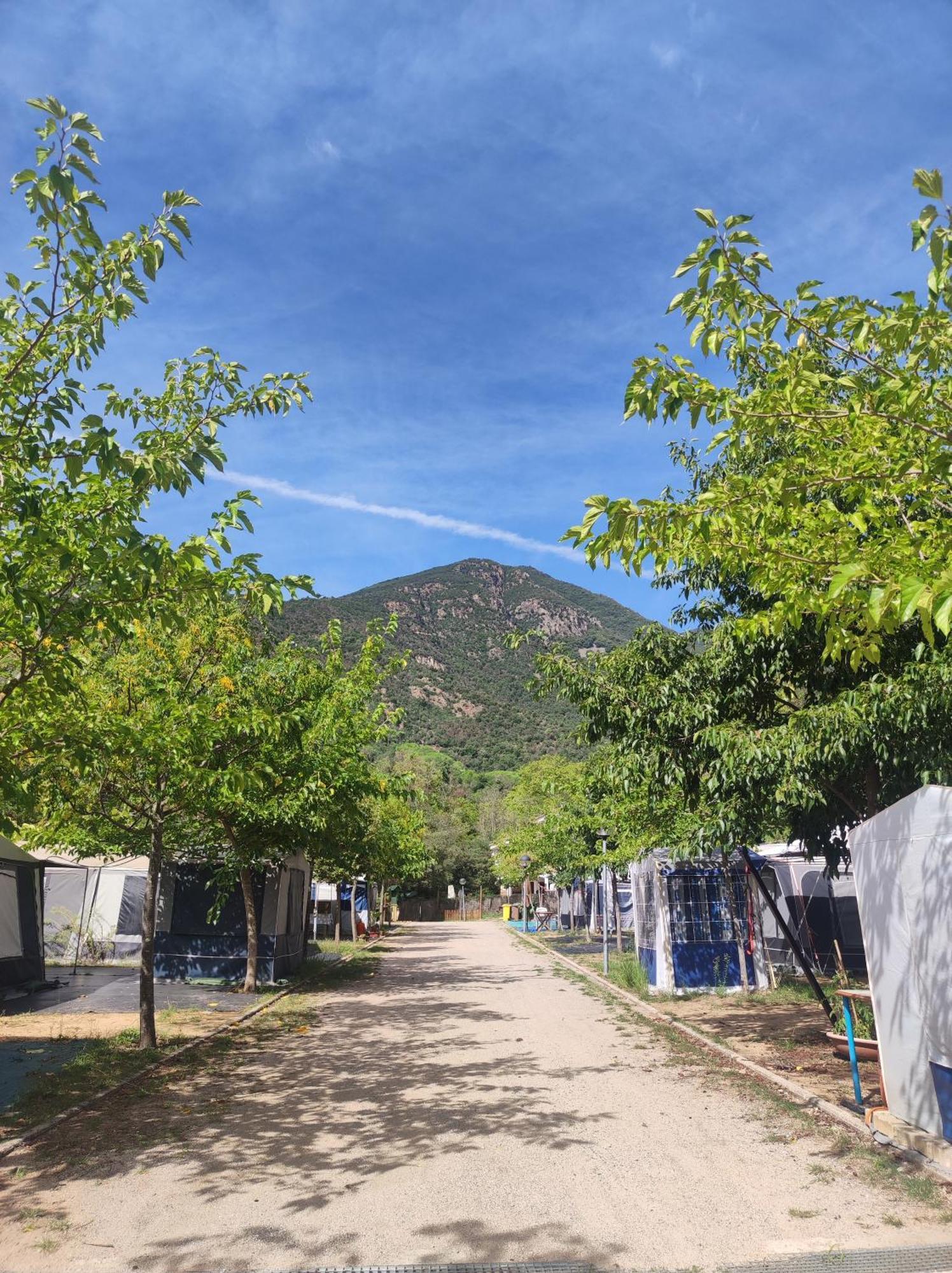 Camping Parc Gualba Gualba de Dalt Kültér fotó