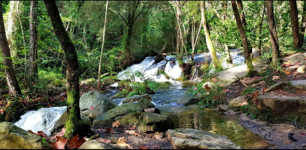 Camping Parc Gualba Gualba de Dalt Kültér fotó