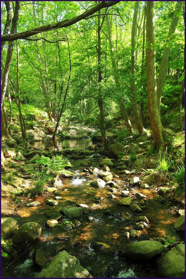 Camping Parc Gualba Gualba de Dalt Kültér fotó